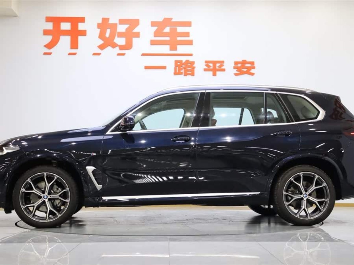 寶馬 寶馬X5  2023款 xDrive 30Li 尊享型M運(yùn)動(dòng)套裝圖片