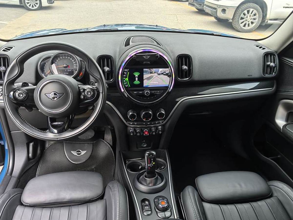 MINI COUNTRYMAN  2019款 2.0T COOPER S ALL4 藝術(shù)家圖片