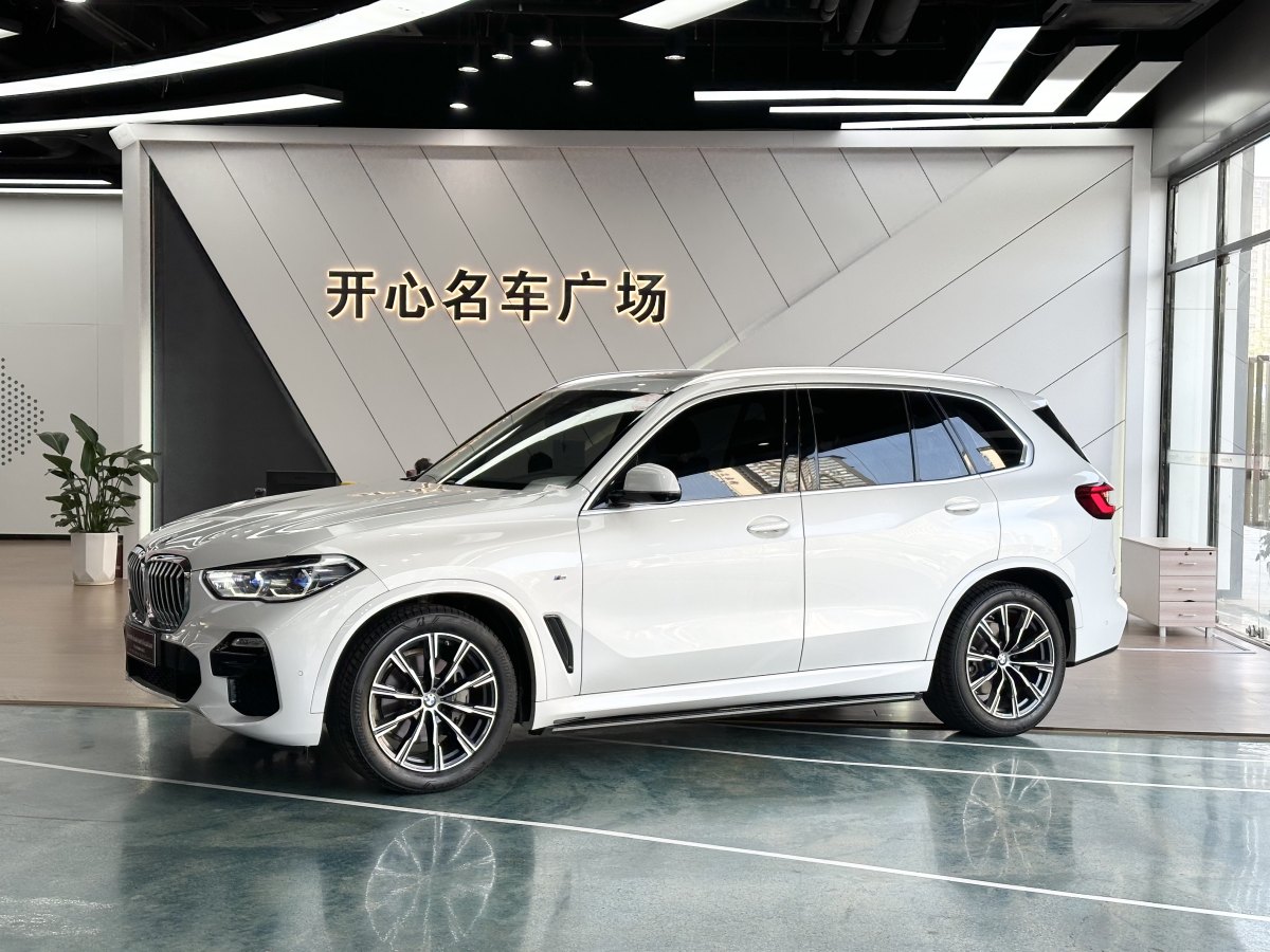 寶馬 寶馬X5  2019款 xDrive40i M運(yùn)動套裝圖片