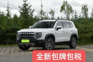 哈弗大狗 哈弗 1.5T DCT边牧版