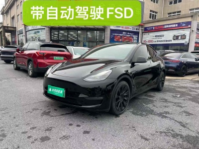 2021年2月 特斯拉 Model Y 改款 長續(xù)航全輪驅動版圖片