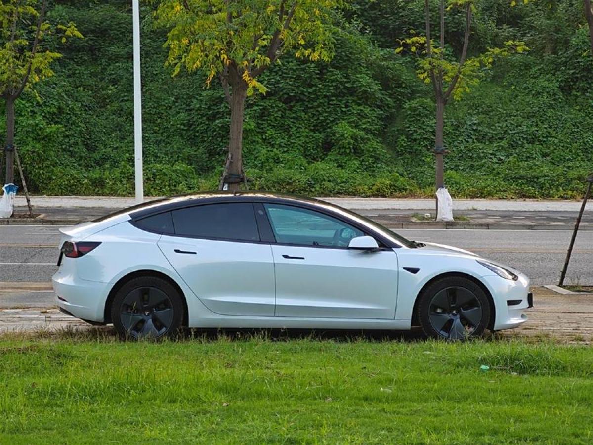 特斯拉 Model Y  2023款 后輪驅(qū)動版圖片