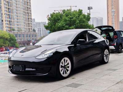 2023年3月 特斯拉 Model 3 改款 后輪驅(qū)動版圖片