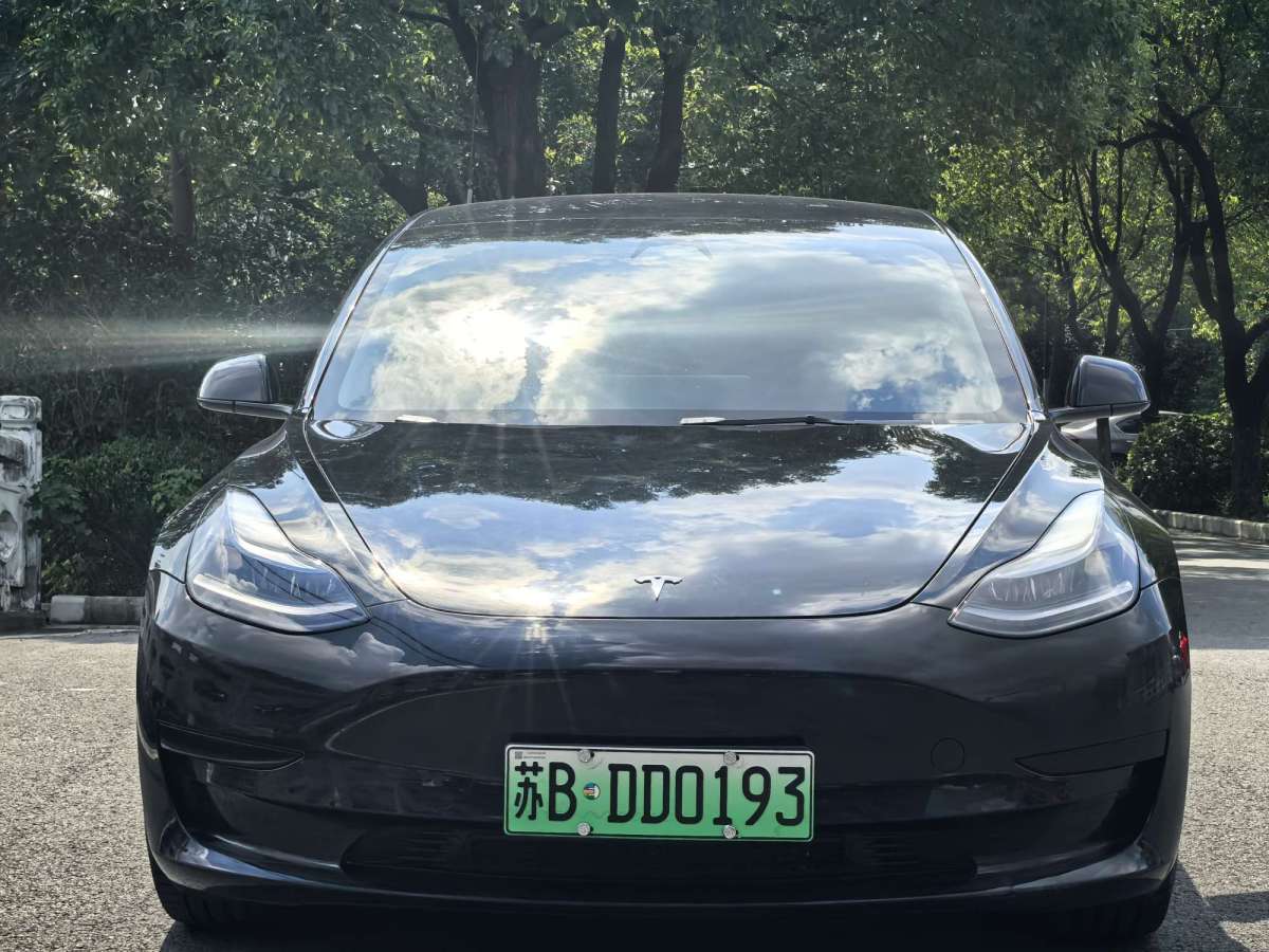 特斯拉 Model 3  2019款 標準續(xù)航后驅(qū)升級版圖片