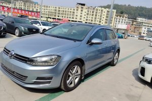 高尔夫 大众 1.4TSI 自动豪华型