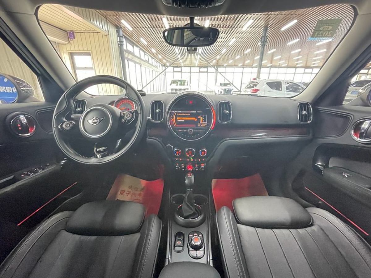 MINI COUNTRYMAN  2018款 2.0T COOPER S ALL4 藝術(shù)家圖片