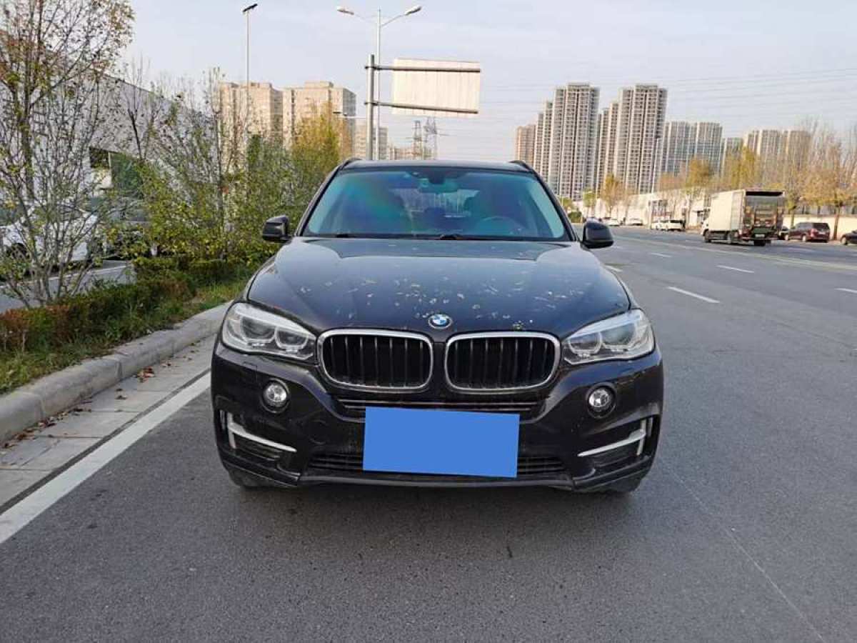 寶馬 寶馬X5  2014款 xDrive35i 領(lǐng)先型圖片