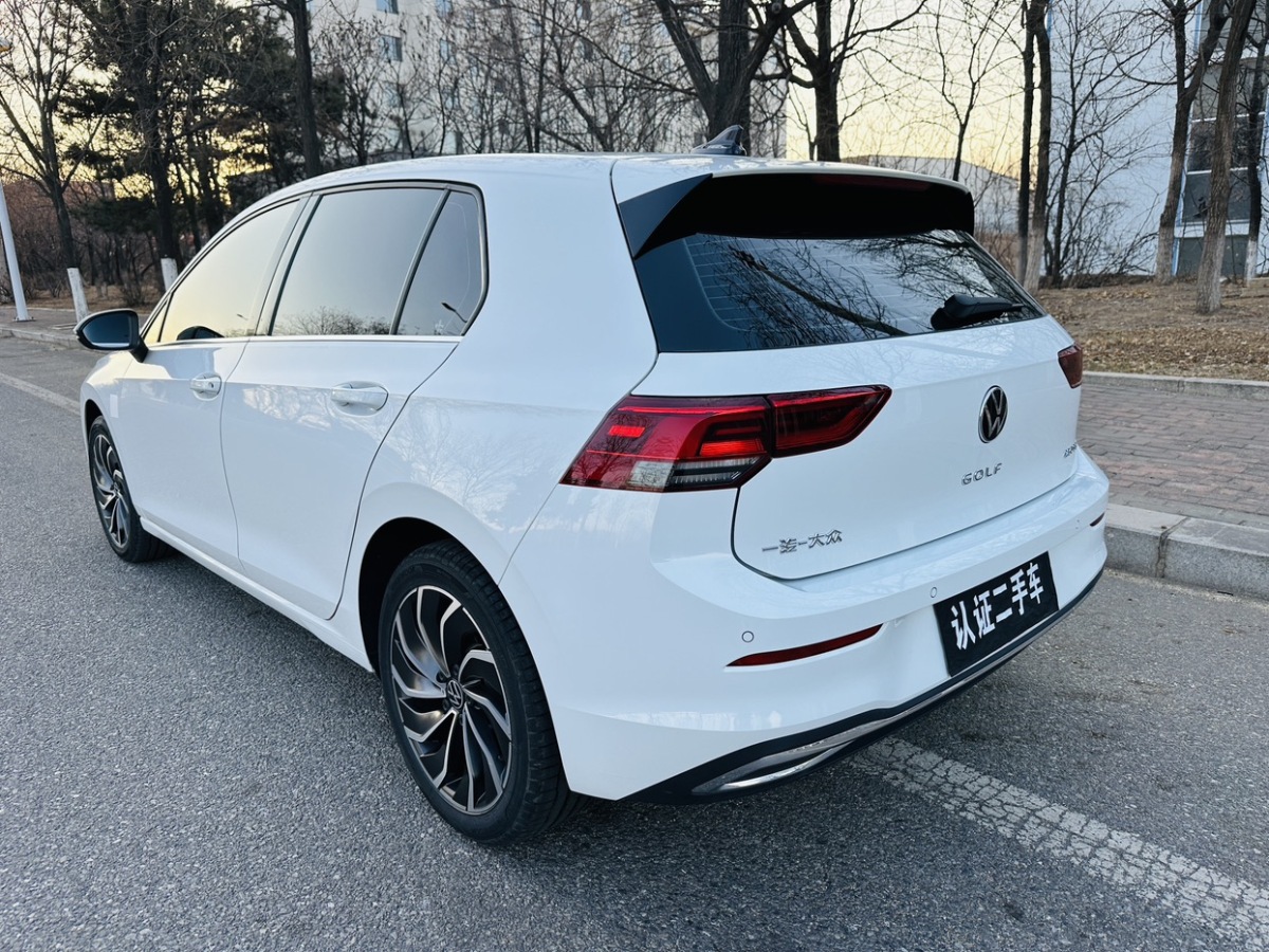 2024年02月大眾 高爾夫  2023款 改款 280TSI DSG Pro