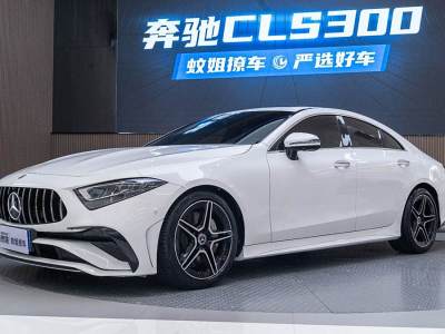 2023年2月 奔驰 奔驰CLS级(进口) 改款 CLS 300 豪华型图片