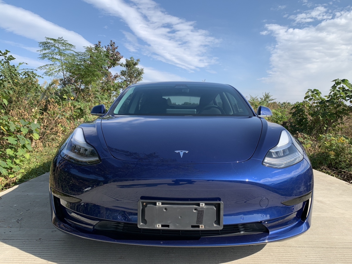 特斯拉 Model 3  2019款 標準續(xù)航后驅(qū)升級版圖片