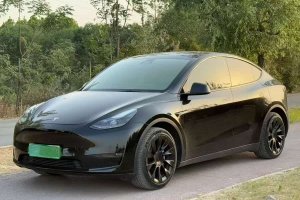 Model Y 特斯拉 標(biāo)準(zhǔn)續(xù)航后驅(qū)版