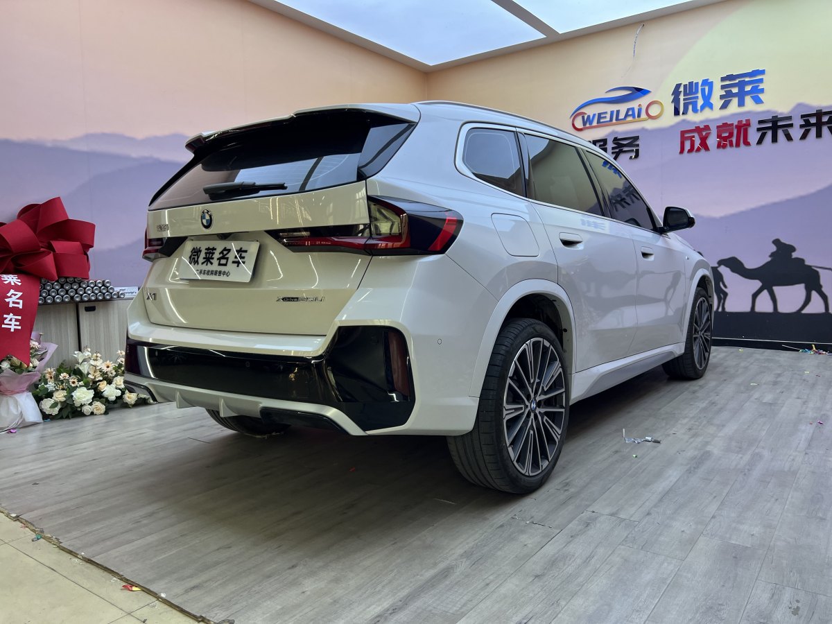 寶馬 寶馬X1  2023款 xDrive25Li X設(shè)計(jì)套裝圖片