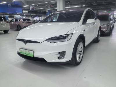 2020年1月 特斯拉 Model X 長(zhǎng)續(xù)航版圖片