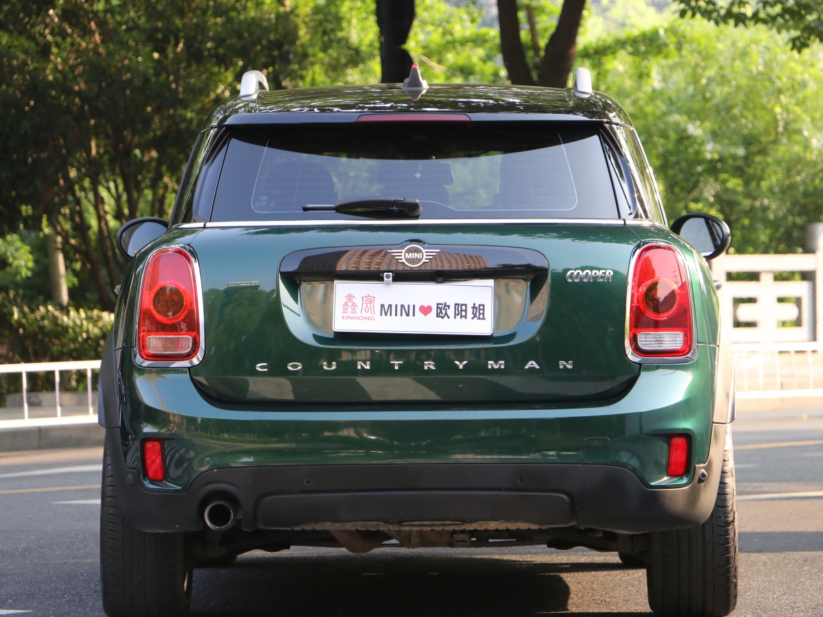 MINI COUNTRYMAN  2018款 1.5T COOPER ALL4 藝術(shù)家圖片