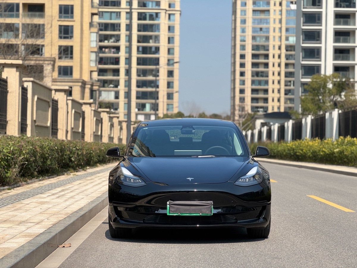 特斯拉 Model 3  2022款 后輪驅(qū)動版圖片