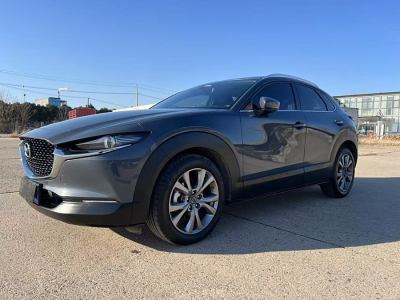 2020年5月 馬自達(dá) CX-30 2.0L 自動嘉悅型圖片