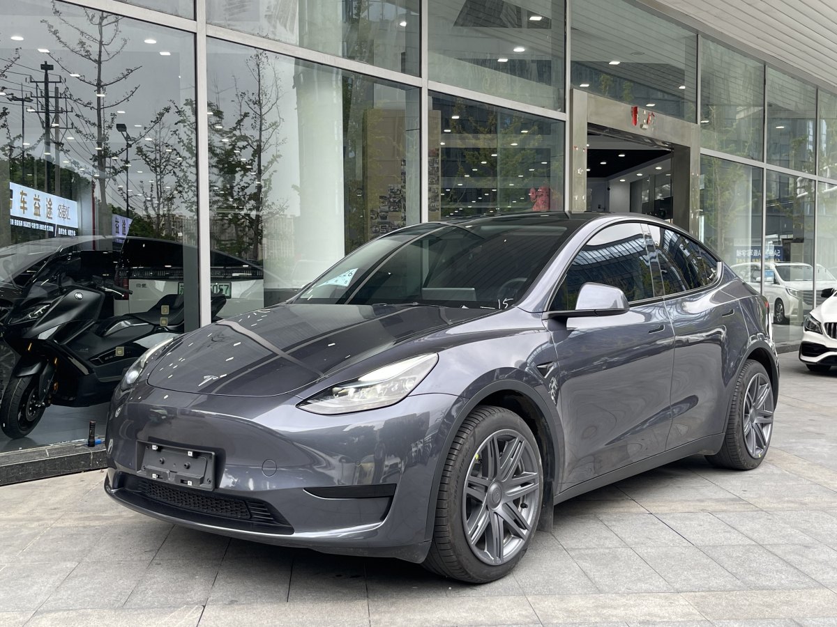 特斯拉 Model Y  2020款 改款 長(zhǎng)續(xù)航后輪驅(qū)動(dòng)版圖片