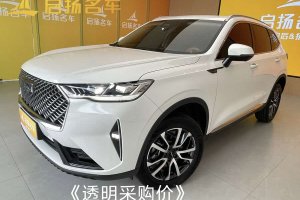 H6 哈弗 第三代 1.5T 自動(dòng)兩驅(qū)Max