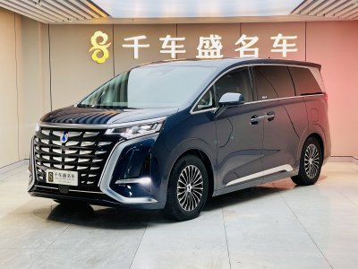 2024年3月 騰勢 騰勢D9 DM-i 970 四驅(qū)尊榮型圖片