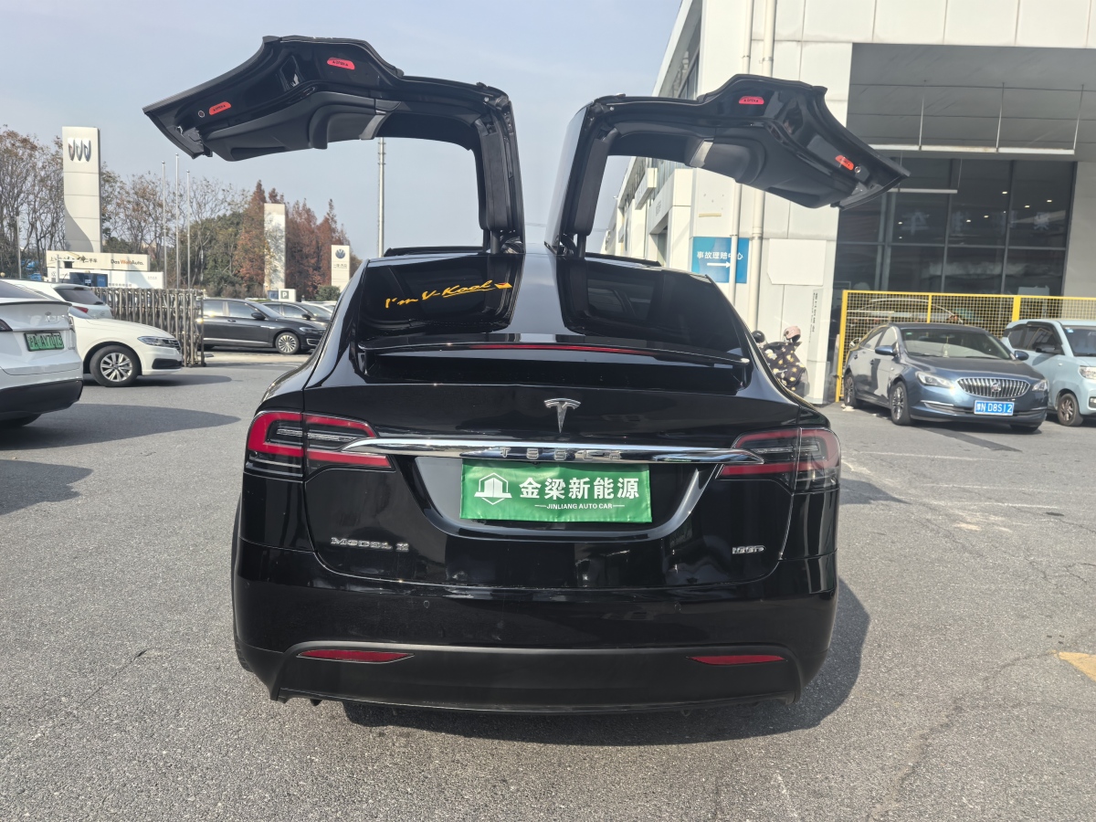 特斯拉 Model X  2017款 Model X 100D 長(zhǎng)續(xù)航版圖片