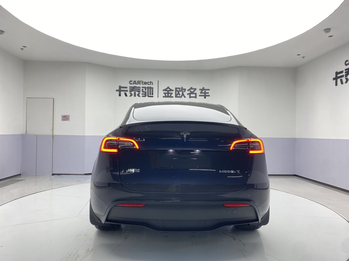 特斯拉 Model Y  2020款 改款 长续航后轮驱动版图片