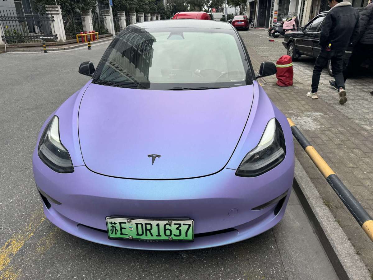 特斯拉 Model 3 2020款 長續(xù)航后輪驅(qū)動版圖片