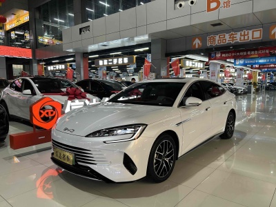 2023年10月 比亞迪 海豹 DM-i 1.5L 121km 尊貴型圖片