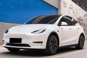 Model Y 特斯拉 后輪驅(qū)動(dòng)版