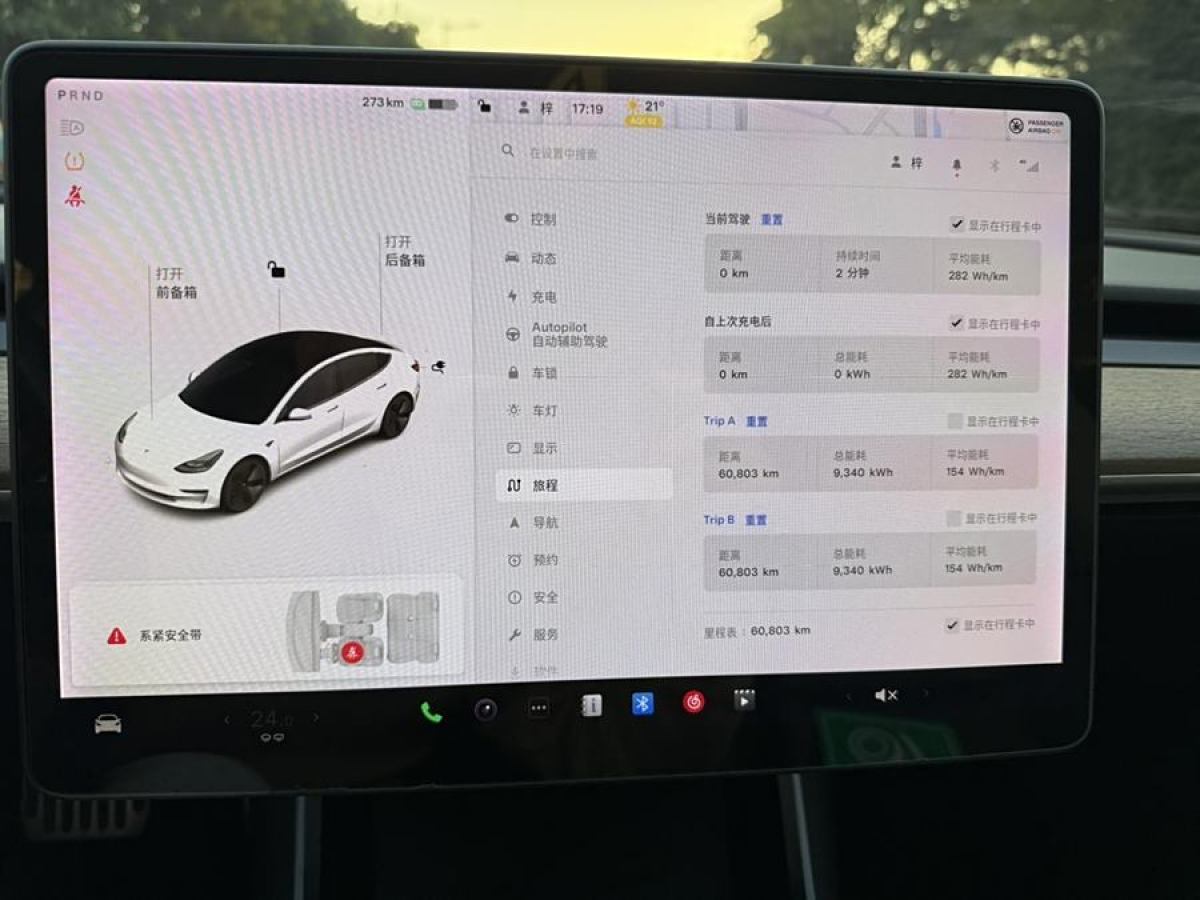 特斯拉 Model 3  2020款 改款 長續(xù)航后輪驅(qū)動版圖片