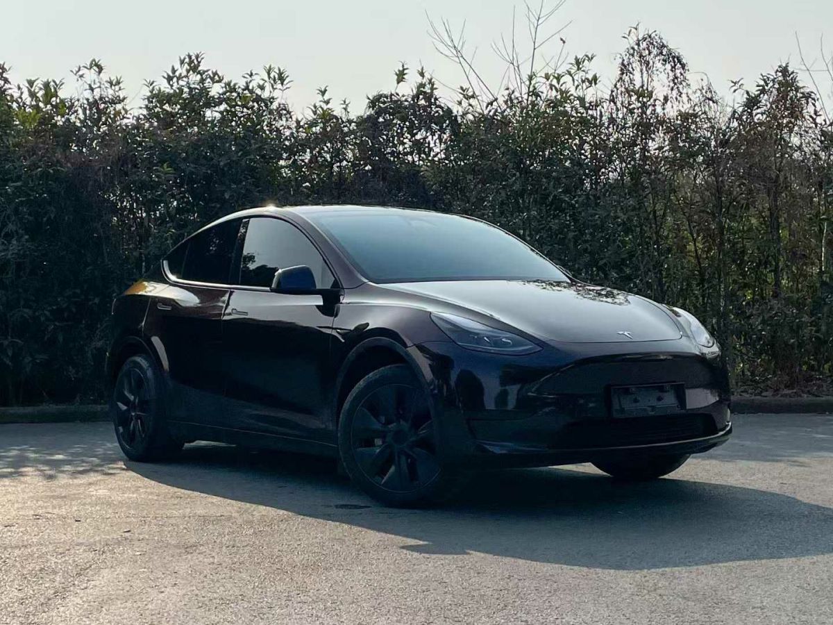 特斯拉 Model Y  2024款 Performance高性能版圖片