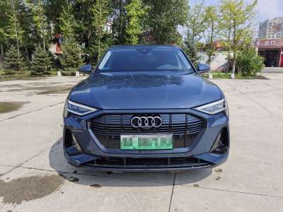 奥迪 奥迪e-tron  2022款 Sportback 55 quattro 豪华型