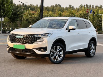 2023年3月 哈弗 哈弗H6新能源 DHT-PHEV 110KM 暢行版圖片