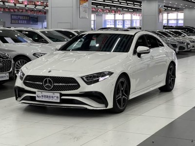 2022年10月 奔馳 奔馳CLS級(進口) CLS 300 豪華型圖片