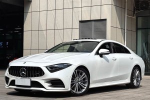 奔馳CLS級 奔馳 CLS 300 動感型