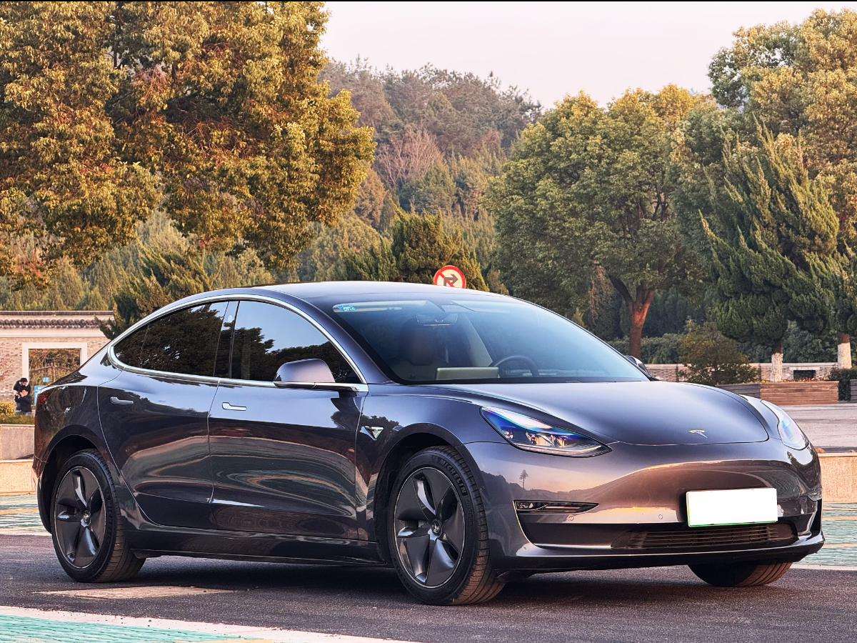 特斯拉 Model 3  2020款 改款 長續(xù)航后輪驅(qū)動版圖片