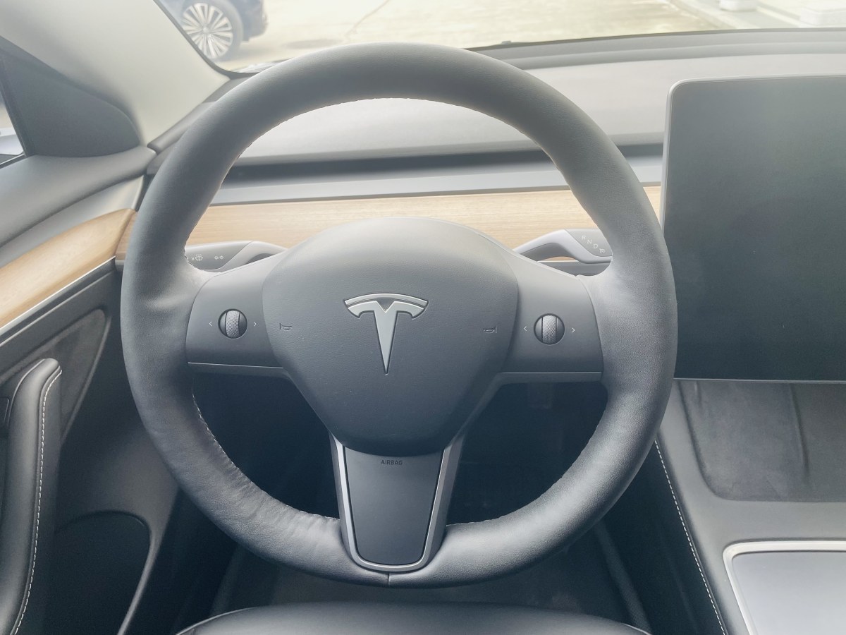 特斯拉 Model 3  2019款 標(biāo)準(zhǔn)續(xù)航后驅(qū)升級(jí)版圖片