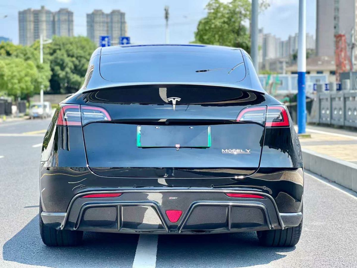 特斯拉 Model Y  2022款 Performance高性能全輪驅(qū)動版圖片