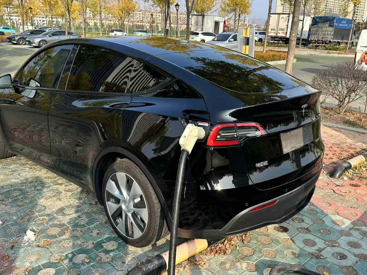 特斯拉 Model Y  2022款 Performance高性能全輪驅(qū)動(dòng)版圖片