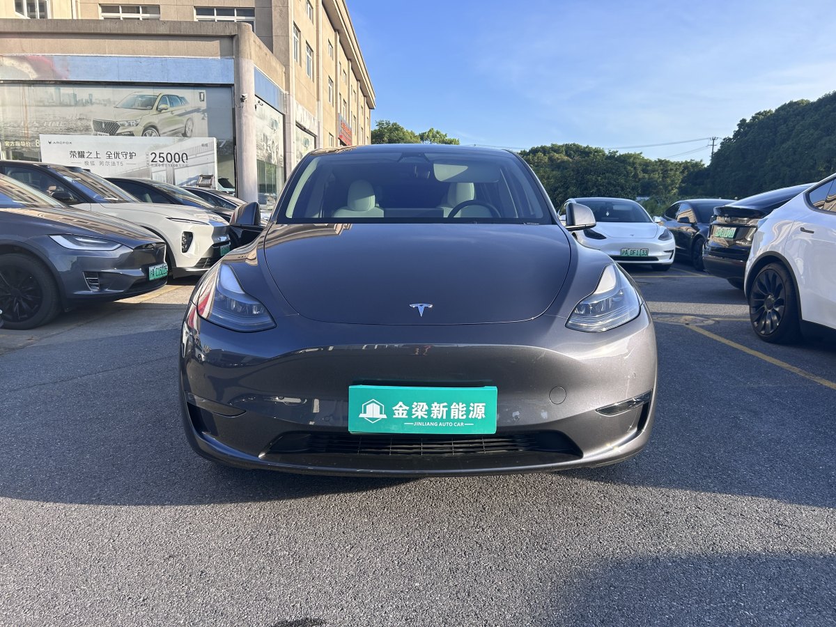 特斯拉 Model Y  2022款 Performance高性能全轮驱动版图片