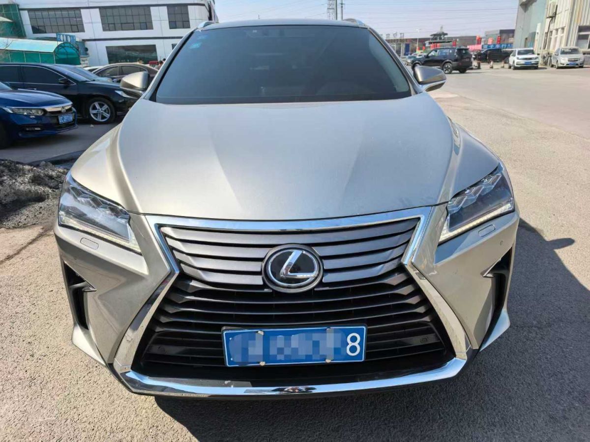 LITE LITE  2019款 R300 原力版圖片