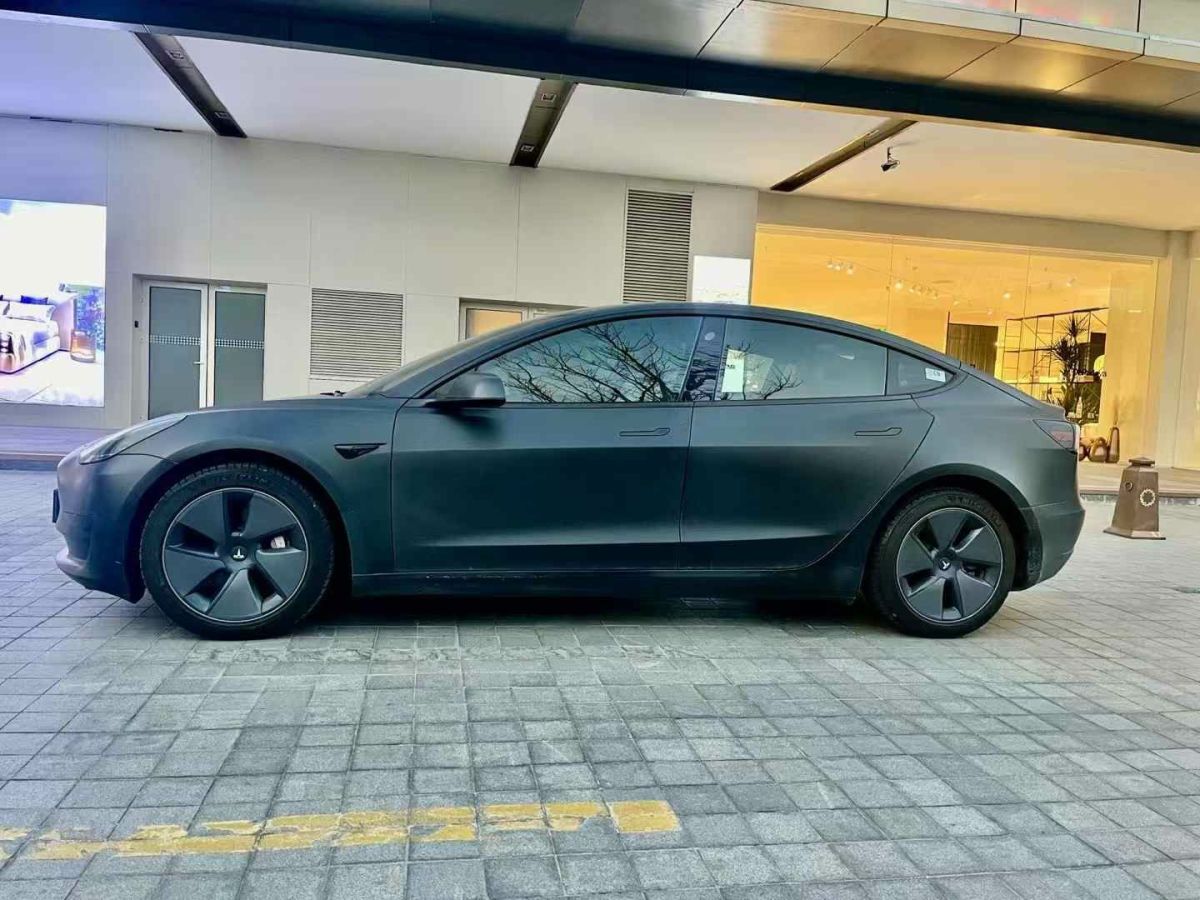 特斯拉 Model 3  2022款 Performance高性能全輪驅(qū)動(dòng)版圖片