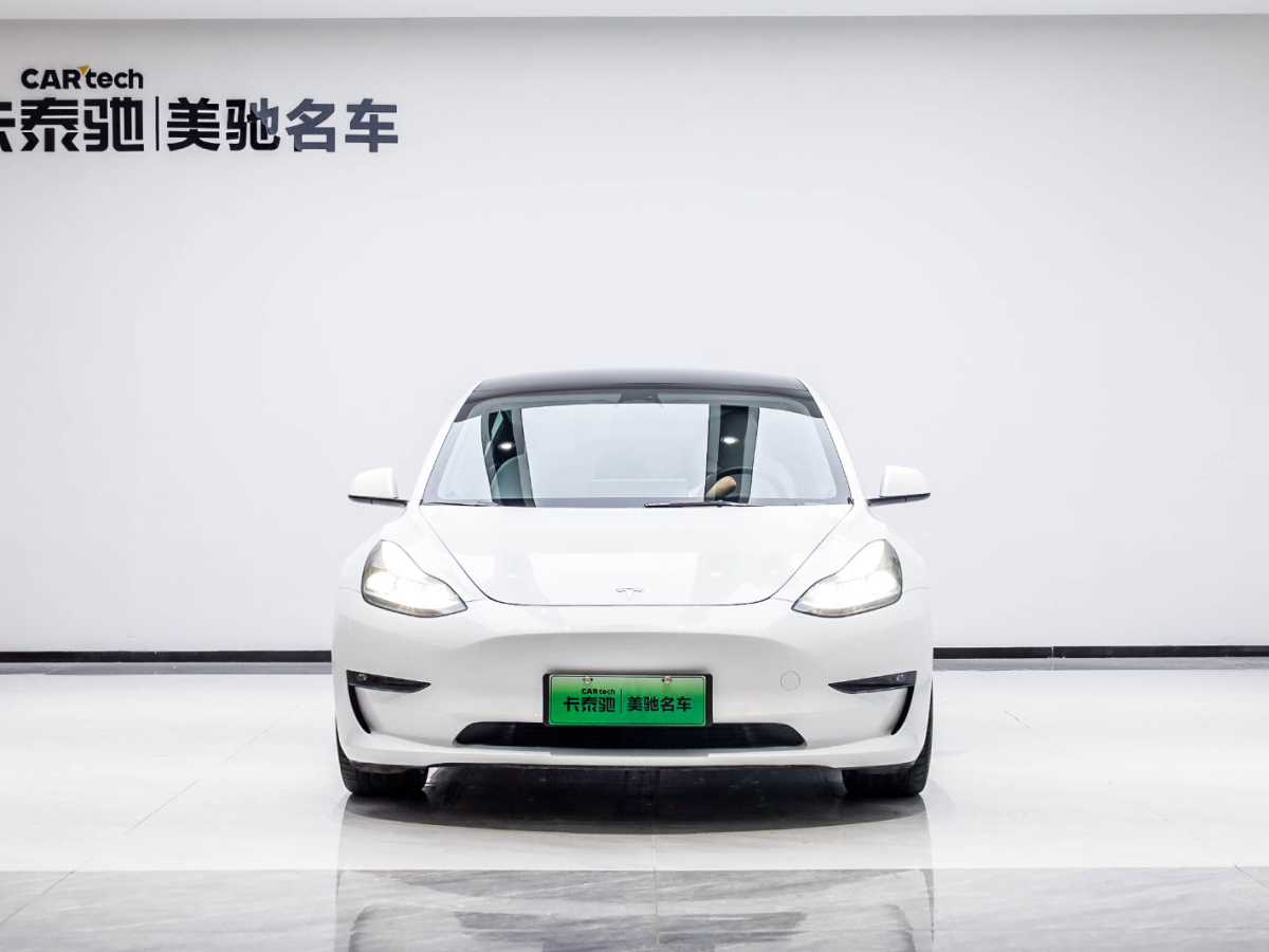 特斯拉 Model 3 2022款 Performance高性能全輪驅(qū)動(dòng)版圖片