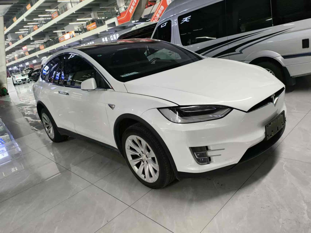 特斯拉 Model X  2019款 長續(xù)航版圖片