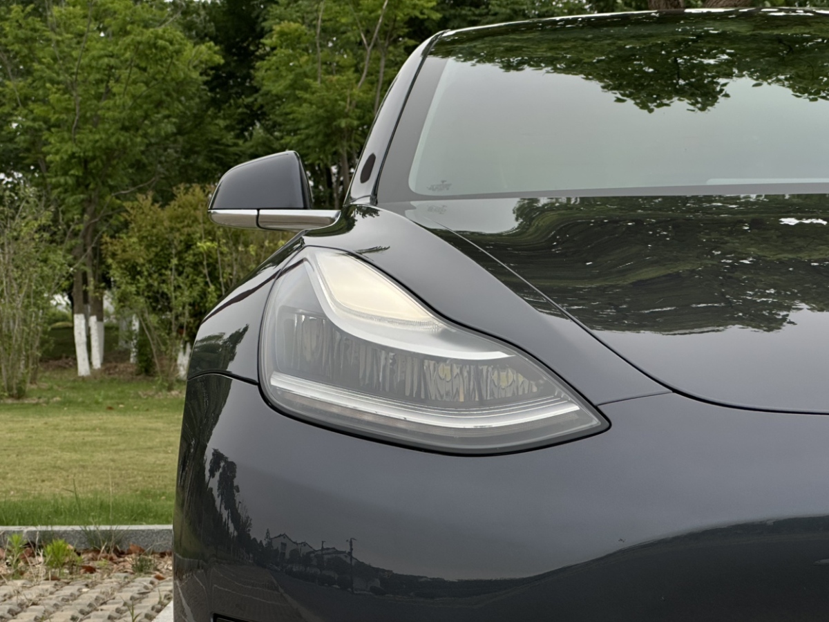 特斯拉 Model 3  2020款 改款 標(biāo)準(zhǔn)續(xù)航后驅(qū)升級版圖片