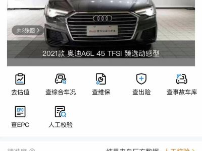 2021年1月 奧迪 奧迪SQ5(進(jìn)口) 3.0 TFSI quattro圖片