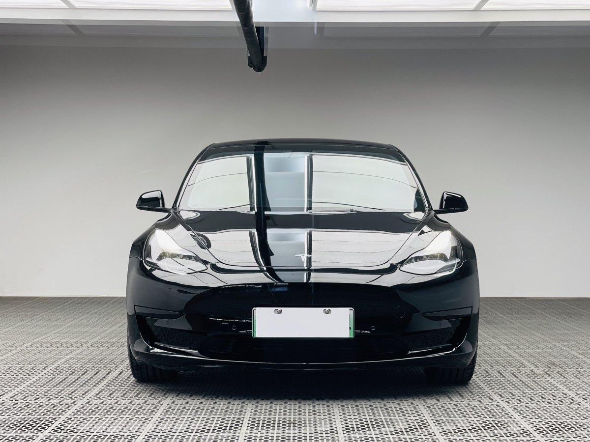 特斯拉 Model 3  2019款 標(biāo)準(zhǔn)續(xù)航后驅(qū)升級版圖片