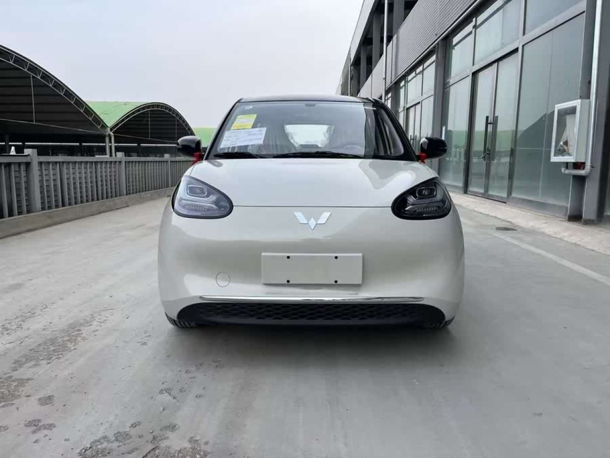 五菱 五菱繽果  2023款 333km 靈犀互聯(lián)+款圖片