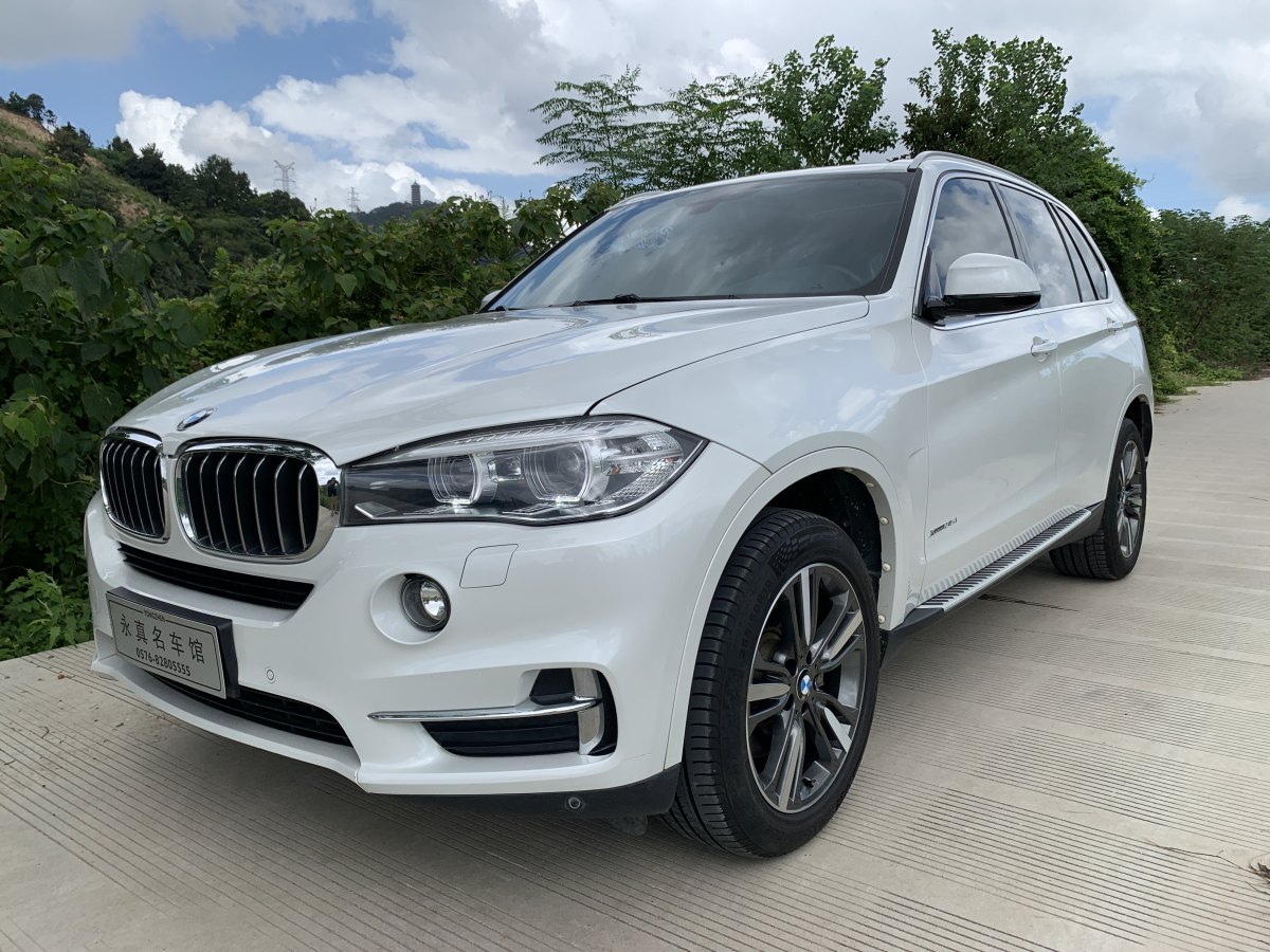 寶馬 寶馬X5  2017款 xDrive35i 典雅型圖片