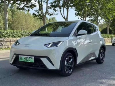 2024年7月 比亞迪 海鷗 榮耀版 405km 飛翔版圖片