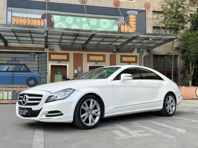 2014年1月 奔馳 奔馳CLS級(進(jìn)口) CLS 300 CGI圖片